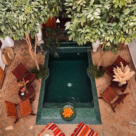 Riad Prive Sadaka Bassin Rooftop مراكش المظهر الخارجي الصورة